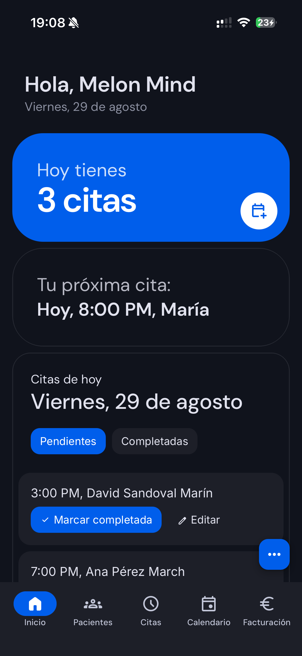 Melon Mind - Vista de la interfaz