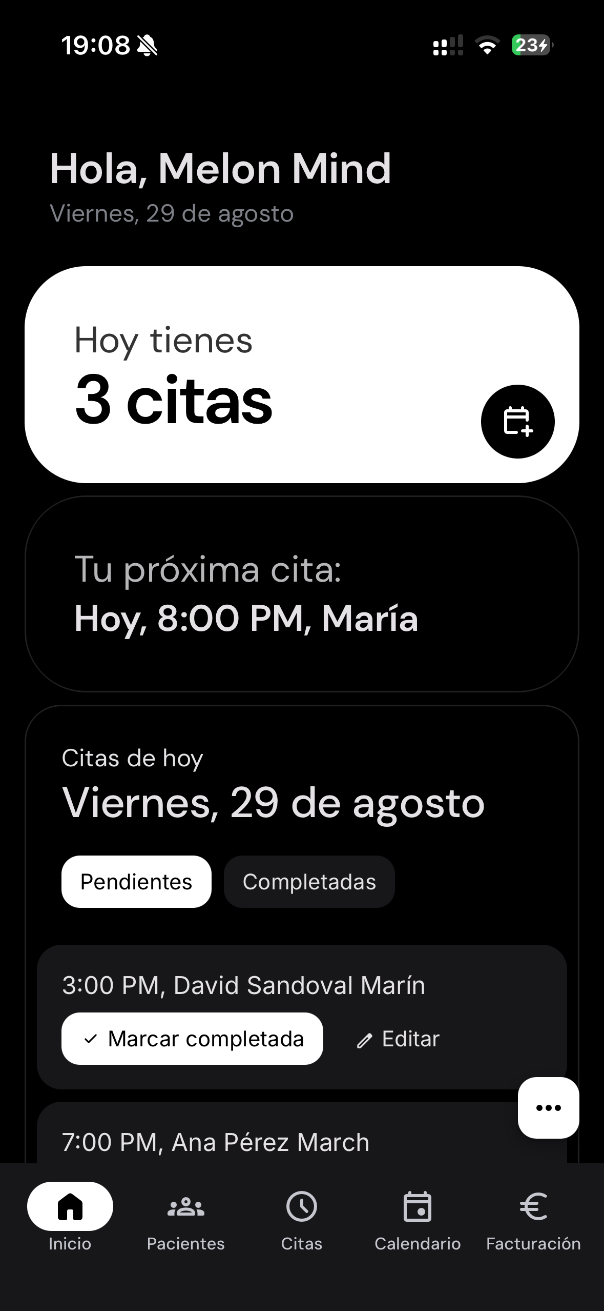 Melon Mind - Vista de la interfaz