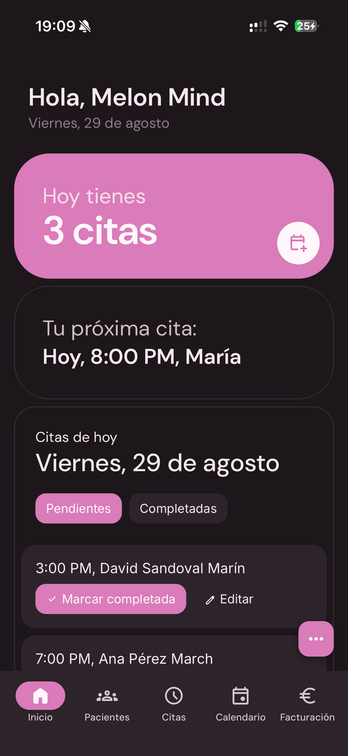 Melon Mind - Vista de la interfaz