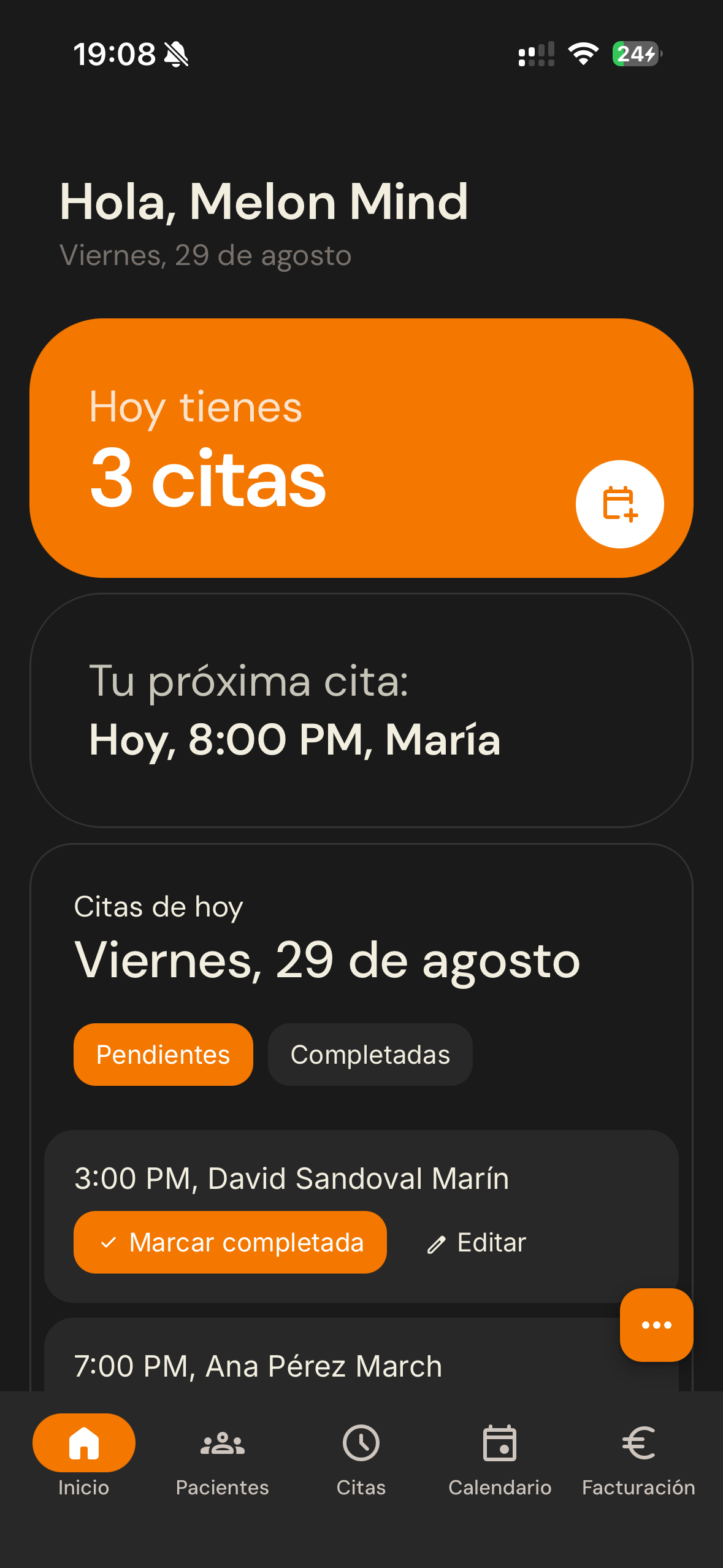 Melon Mind - Vista de la interfaz