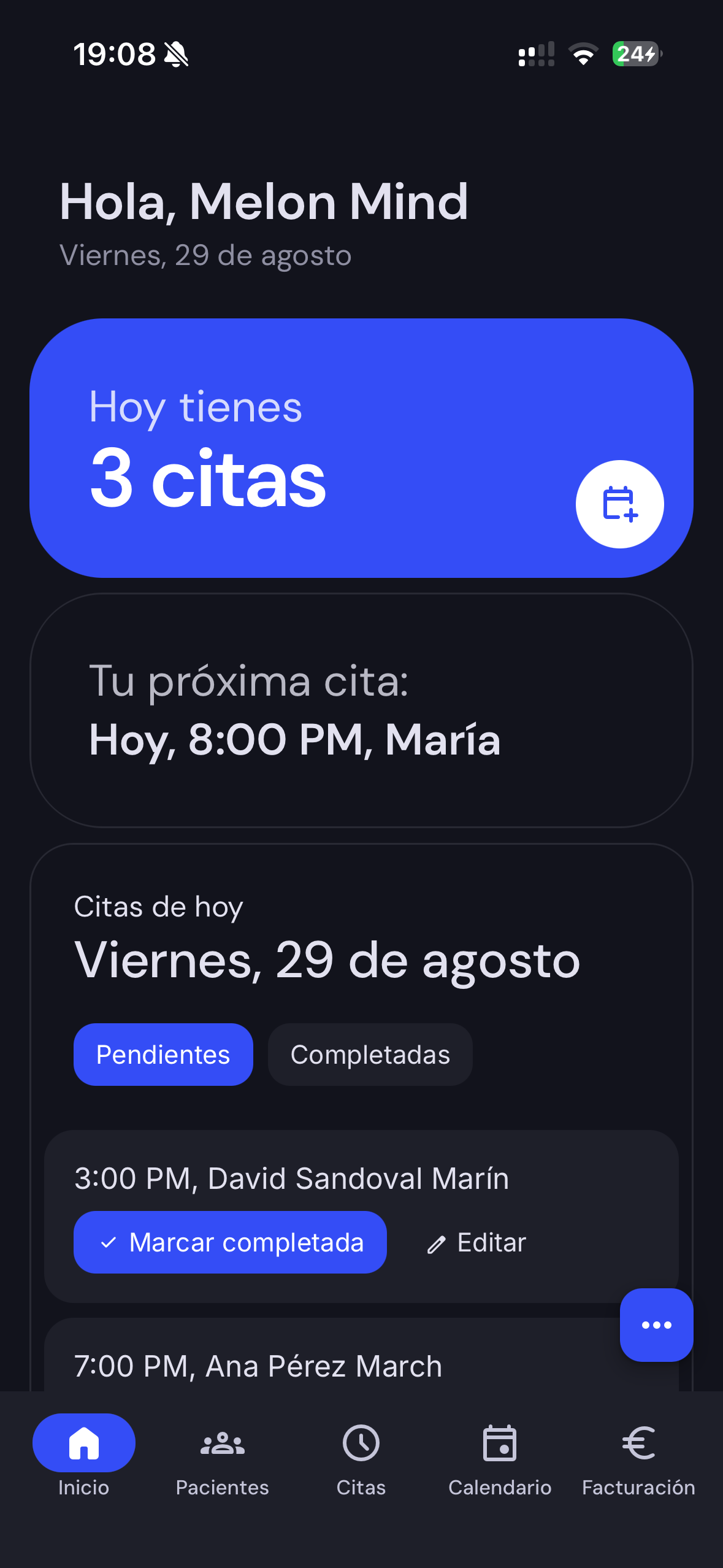 Melon Mind - Vista de la interfaz