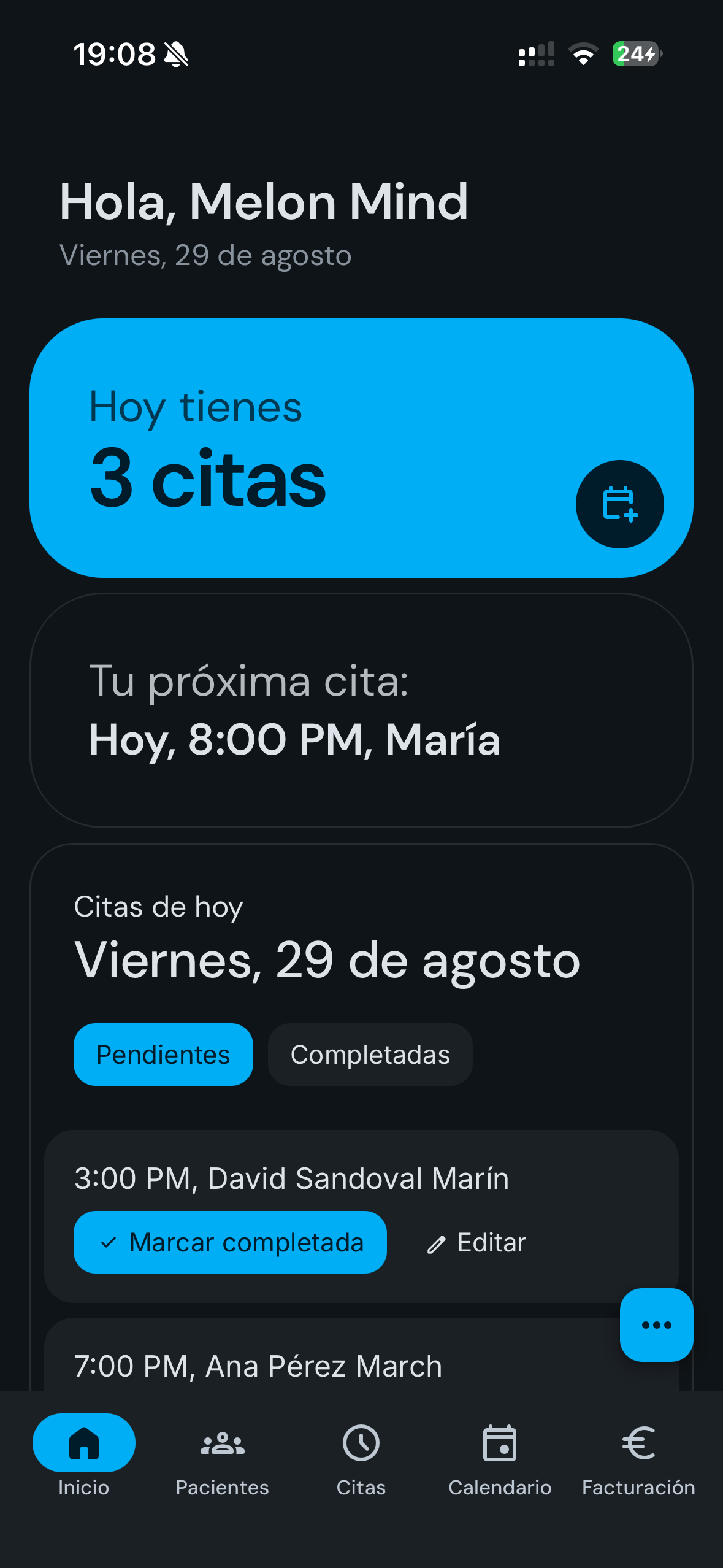 Melon Mind - Vista de la interfaz